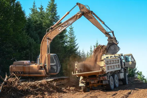 Kazino Golden Crown Pagalba